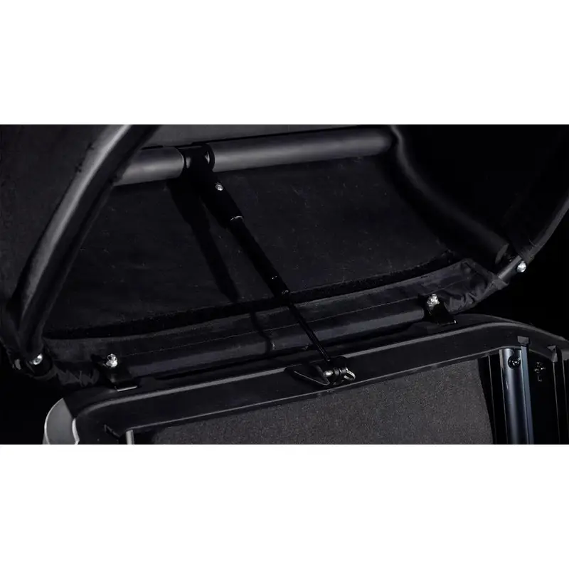 Trike Family Hybrid 24 ''/20 '' 1v 100mm 750Wh + 750Wh Bosch Cargo Line Flashwhwite'n'Reflex 2026 #5