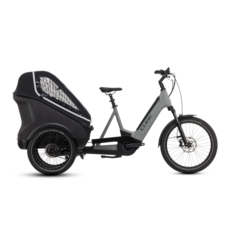 Trike Family Hybrid 24/20'' 1v 100mm 750Wh Bosch Cargo Line Swampgrey’n’Reflex 2027 - image