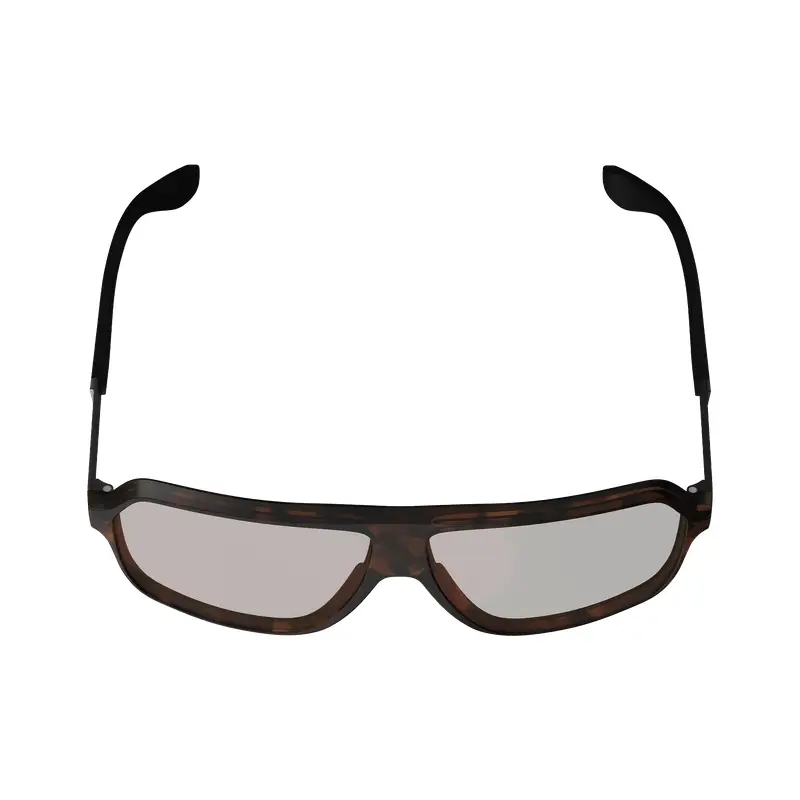 Occhiali TheViz Andes Marrone Lente Marrone/Argento 20% #4