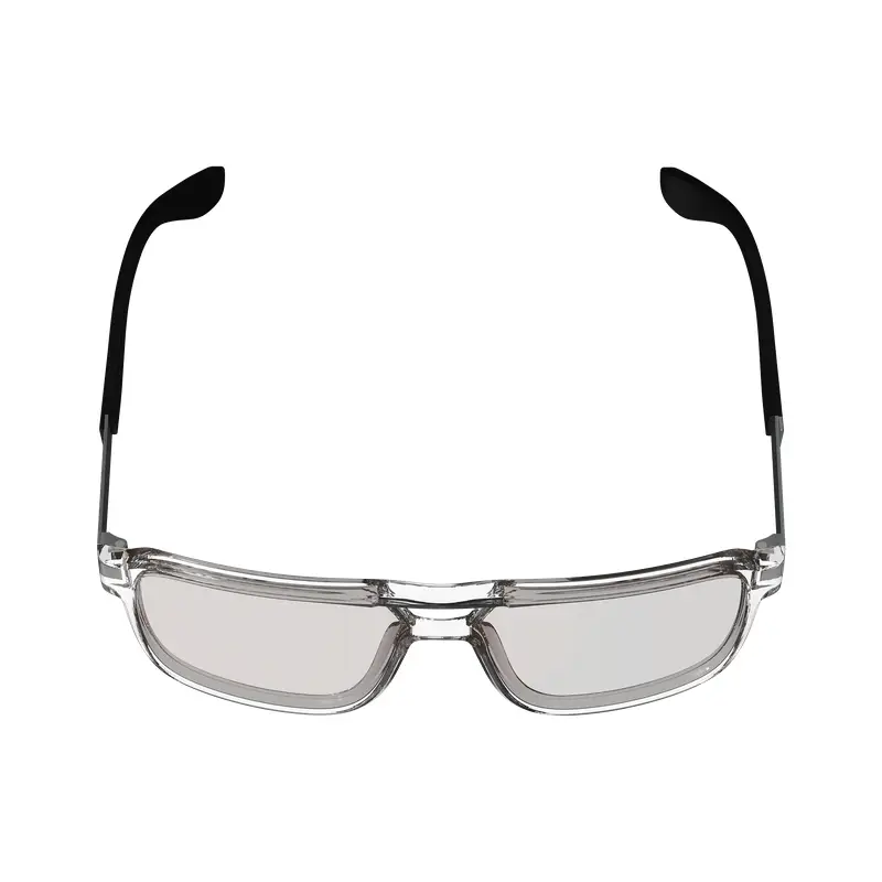 Occhiali TheViz Pyrenees Trasparente/Argento Lente Marrone/Argento 20% #4