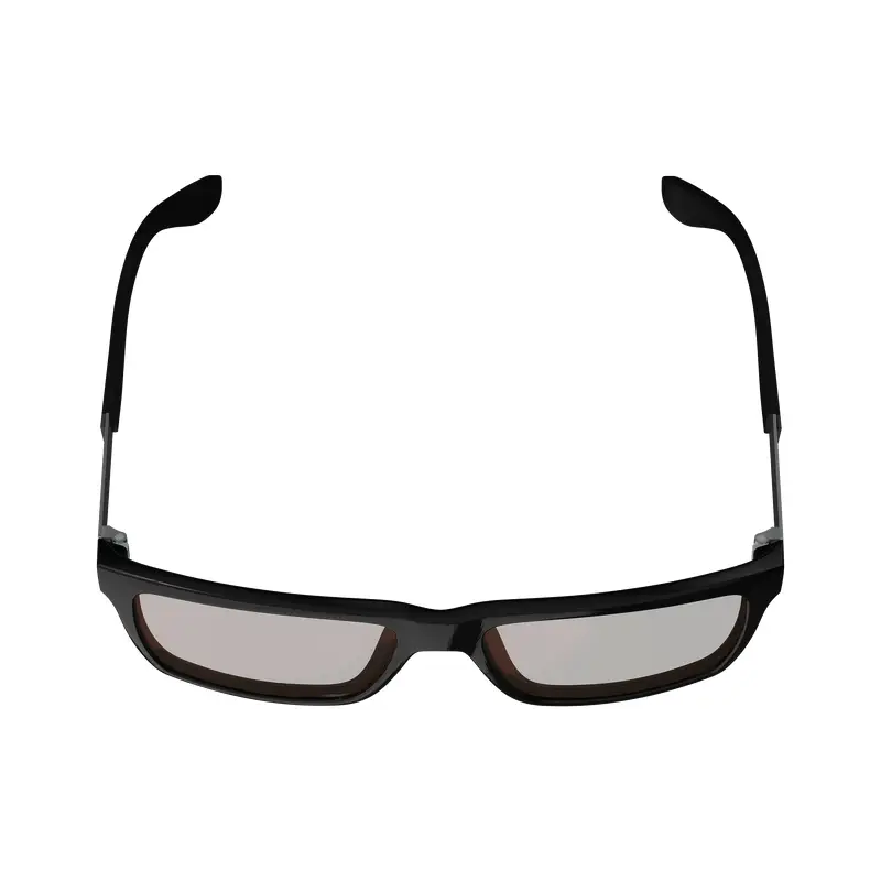 Occhiali TheViz Sierra Nero/Argento Lente Marrone/Argento 20% #4