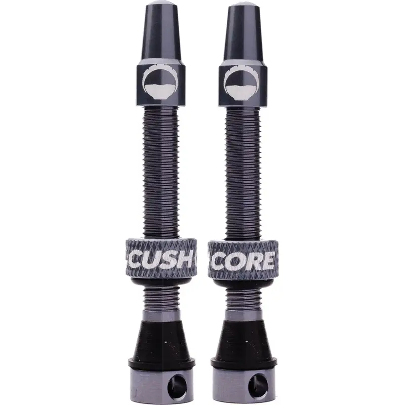 Presta Tubeless Ventil aus Aluminium 44mm Grau - image