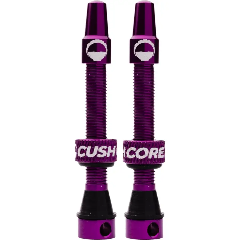 Válvula Presta Tubeless em Alumínio 55mm Roxa - image