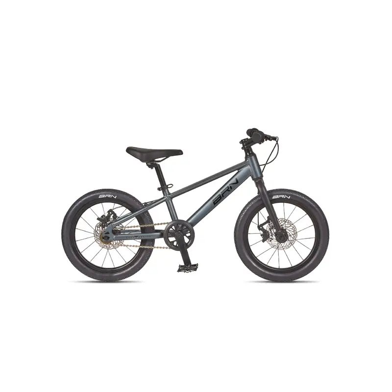 Bicicleta de Montaña para Niño 5-6 Años 16'' 1 Velocidad Gris - image