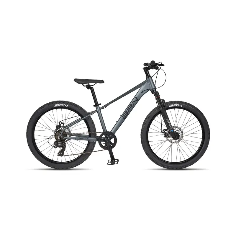 Bicicleta MTB Niño 8-10 Años 24'' 7v Gris - image