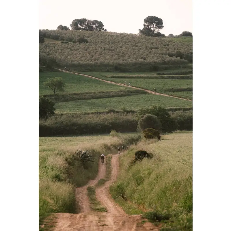 Movimento Centrale ALPHA BSA 24mm Gravel Nero #3
