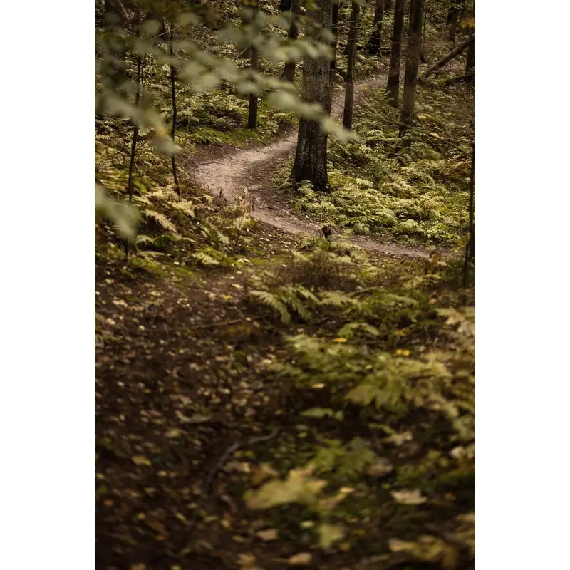 Movimento Centrale ALPHA BB92 Perno 24mm MTB Nero #3