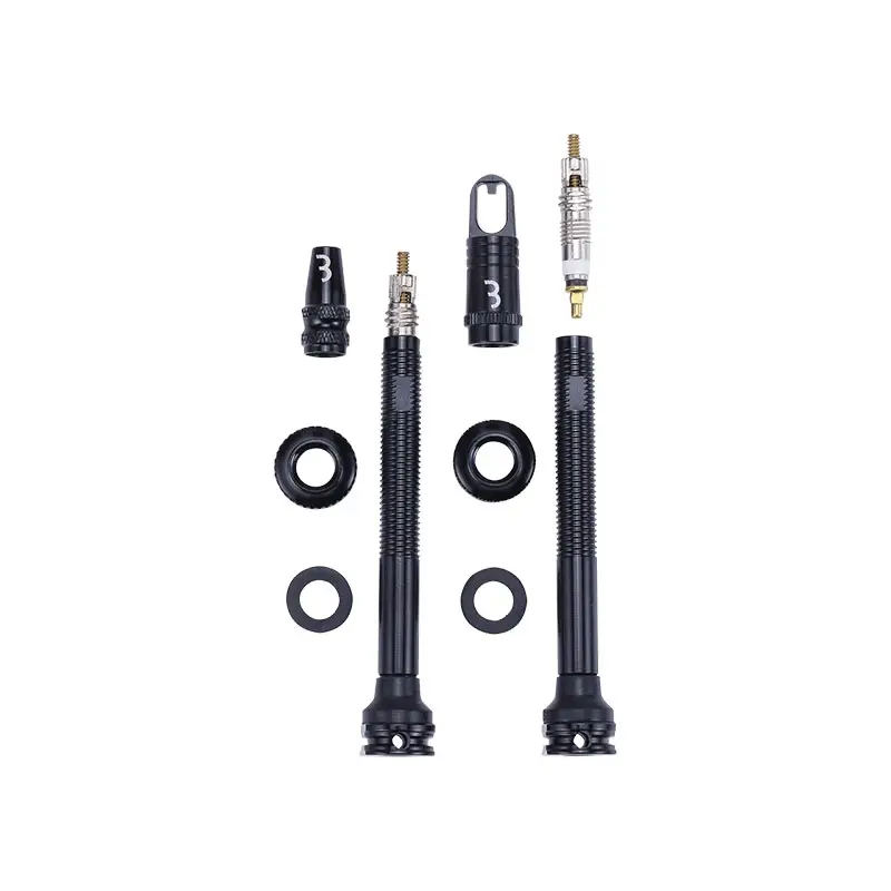 Tubeless Alu-Ventil mit entnehmbarem Kern 60mm 2 Stück #1