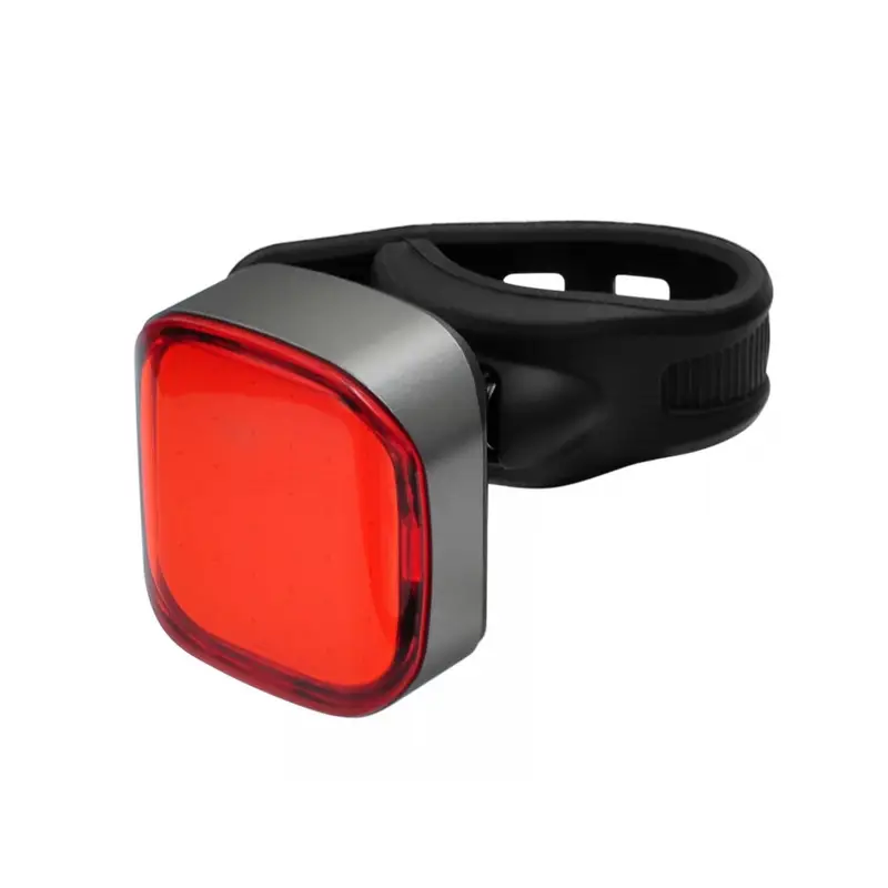 Luce Posteriore B-Race Twin Light - image