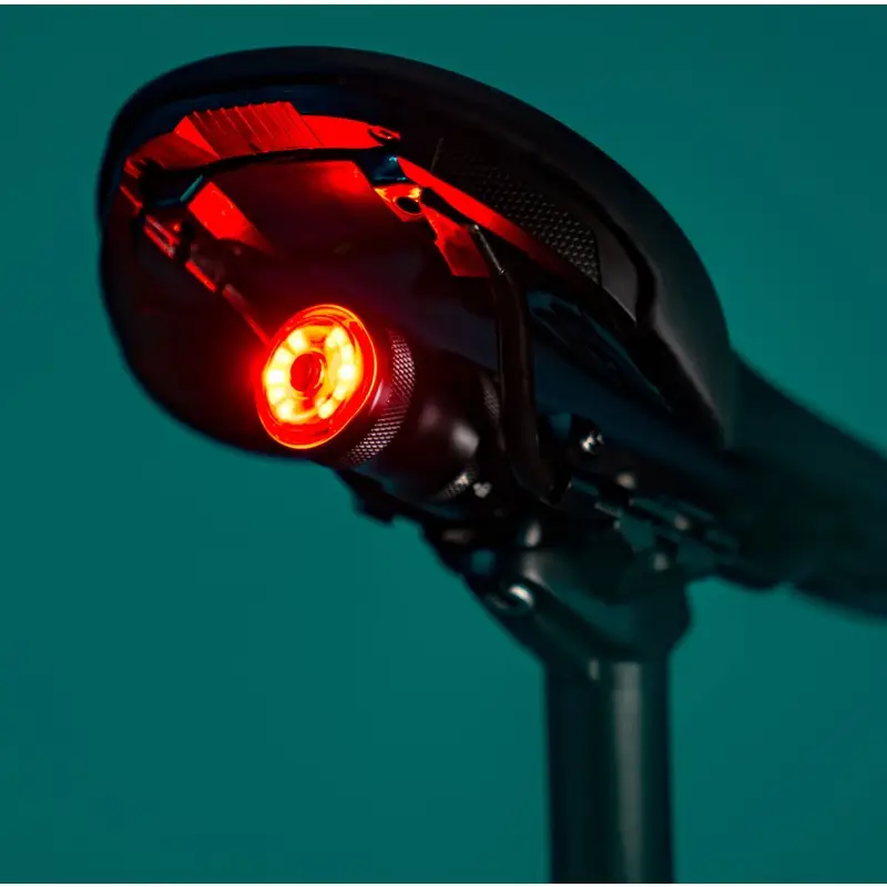 Under Seat Rear Light Drive 250 #8