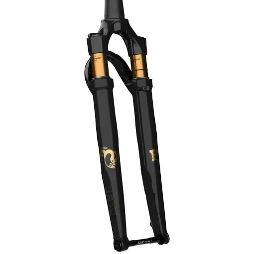 Forcella 32 Taper-Cast Factory Float Grip SL 28'' 50mm Offset 45mm 12x100mm Nero - image