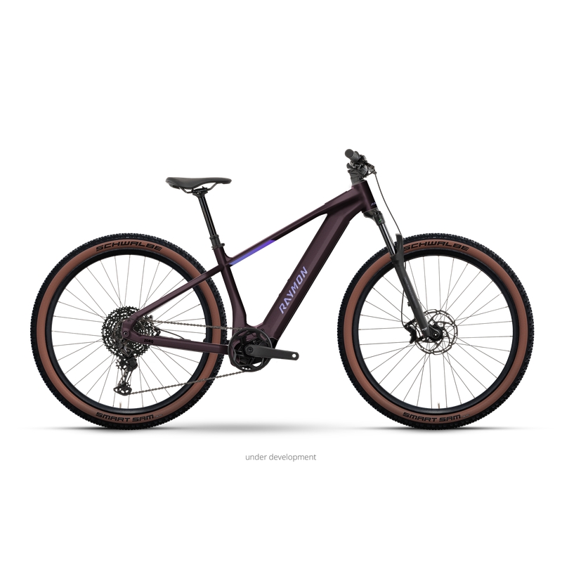 Zorq Ultimate 29'' 10v 120mm 800Wh Avinox M2 Floridplum 2027 Taglia M
