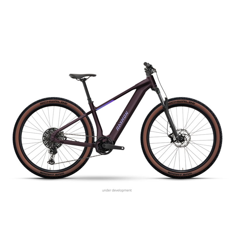 Zorq Ultimate 29'' 10v 120mm 800Wh Avinox M2 Floridplum 2027 Taglia M - image