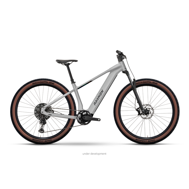 Zorq Ultimate 29'' 10v 120mm 800Wh Avinox M2 Stormwhite 2027 Taglia M
