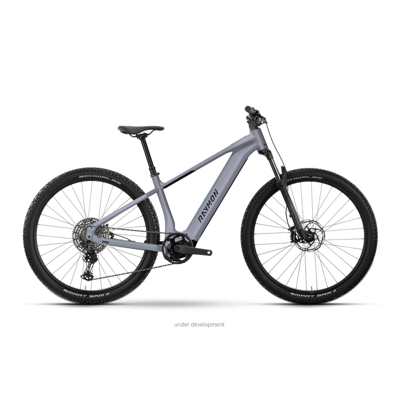 Zorq Elite 29'' 11v 120mm 800Wh Avinox M2S Galaxygrey 2027 Taglia M - image