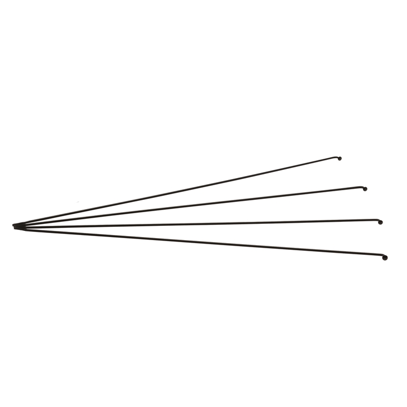 Rayon de vélo en acier avec écrous 172 x 2,3 mm Noir