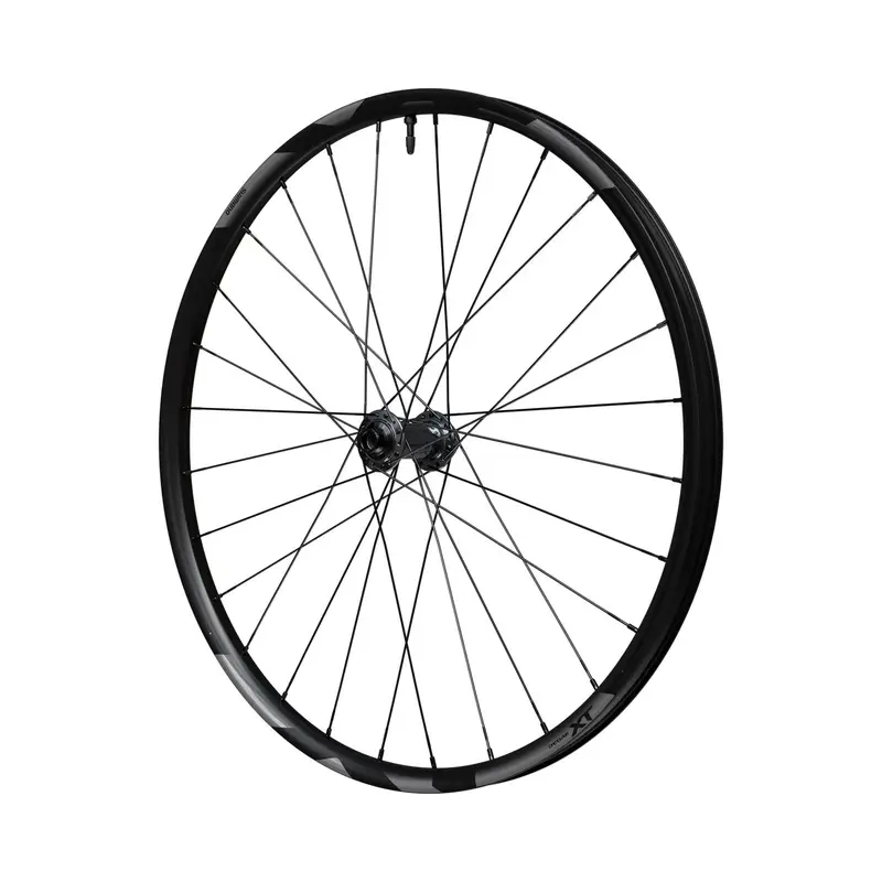 Ruota anteriore Deore XT Freno a disco Center Lock #1