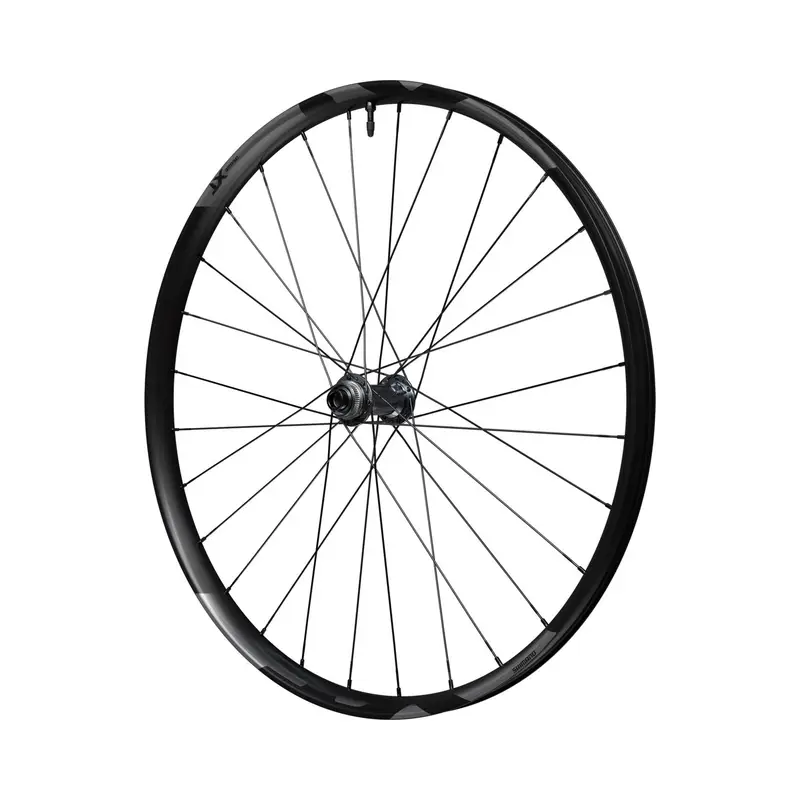 Ruota anteriore Deore XT Freno a disco Center Lock #1