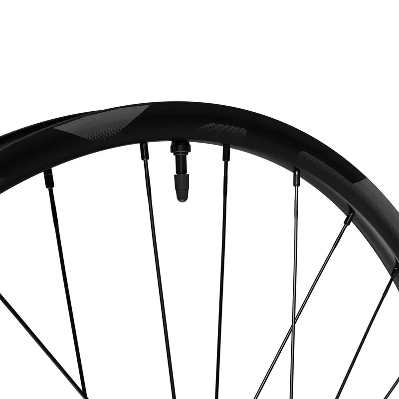 Ruota Posteriore Deore XT 12v Freno a disco Center Lock #3