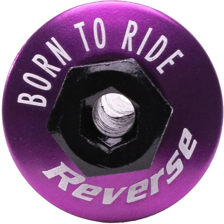 Purple Barspin Cap #2