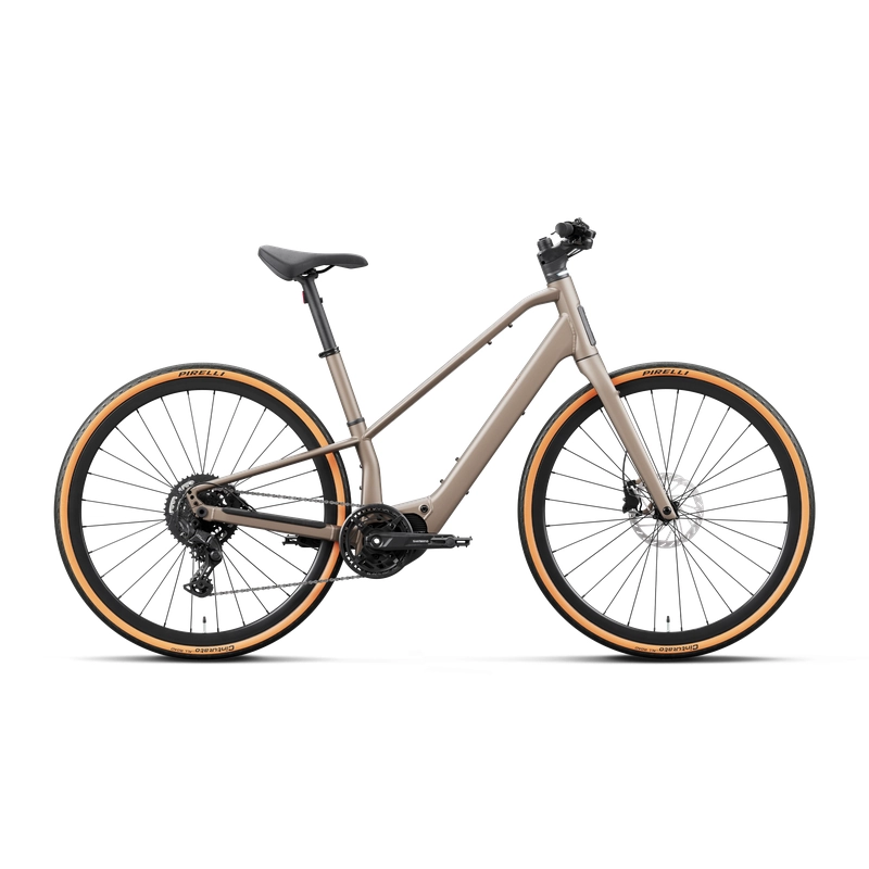 CARPE 25 29'' 9v 420Wh Shimano EP600 Nickel 2027 Größe M - image
