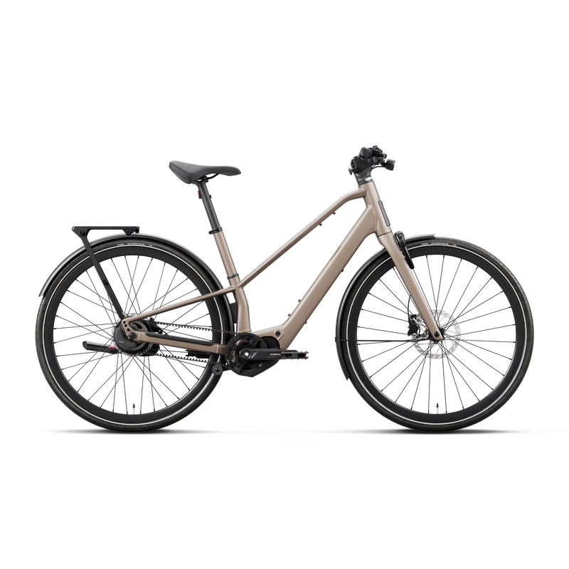 CARPE 10 29'' 1v 420Wh Shimano EP600 Nickel 2027 Taille M - image