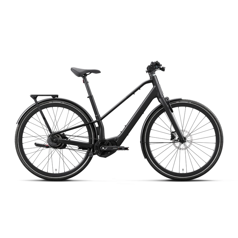 CARPE 10 29'' 1v 420Wh Shimano EP600 Diamond Black 2027 Size XL - image