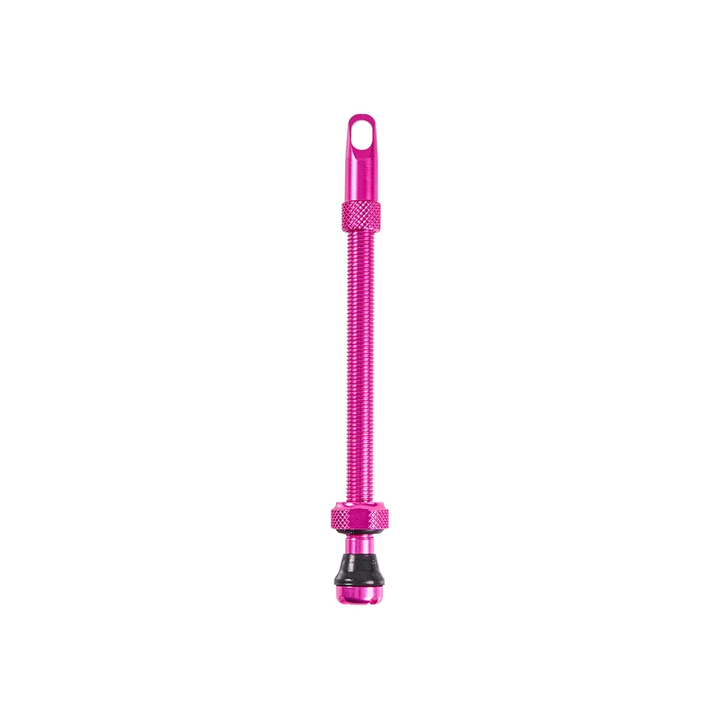 Valvola Tubeless In Alluminio 100mm Fucsia