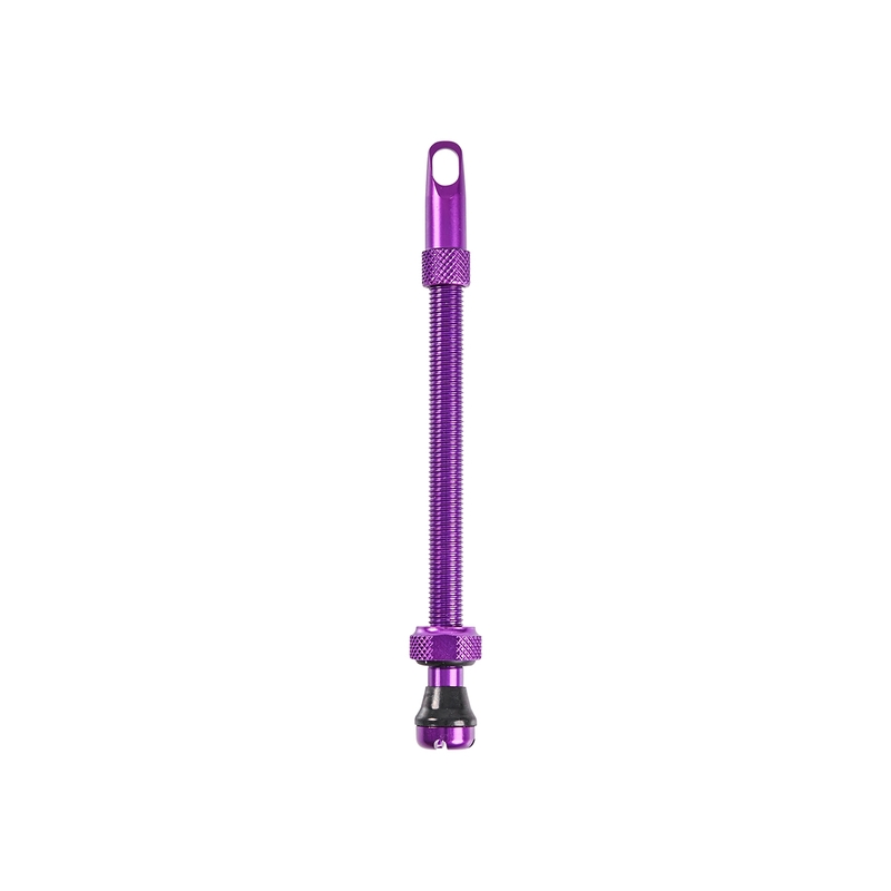 Valvola Tubeless In Alluminio 100mm Viola