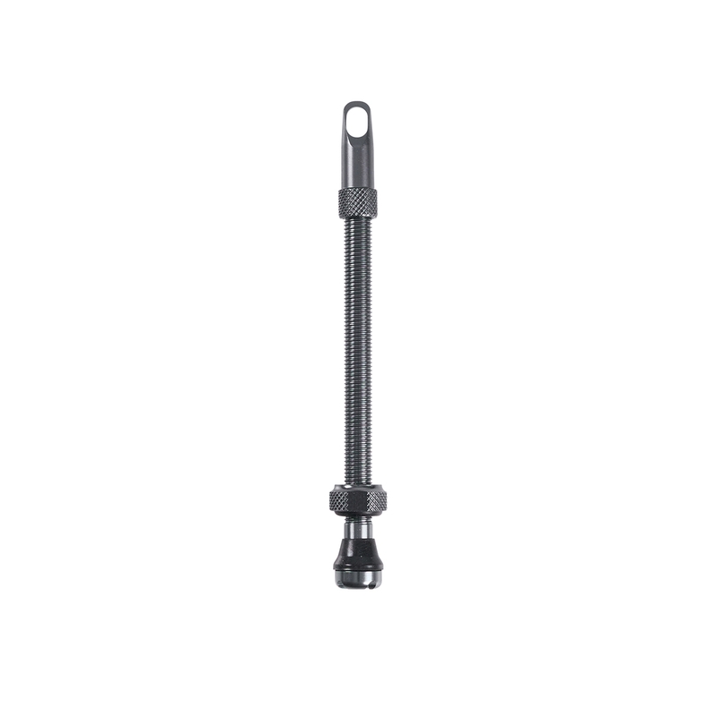 Valvola Tubeless In Alluminio 100mm Grigio