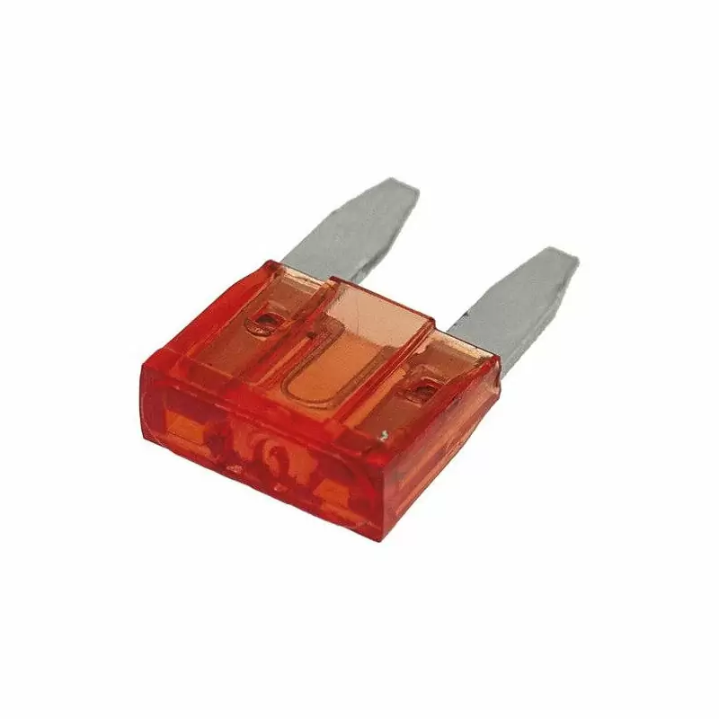 Blade Fuse 10mm 10A - image