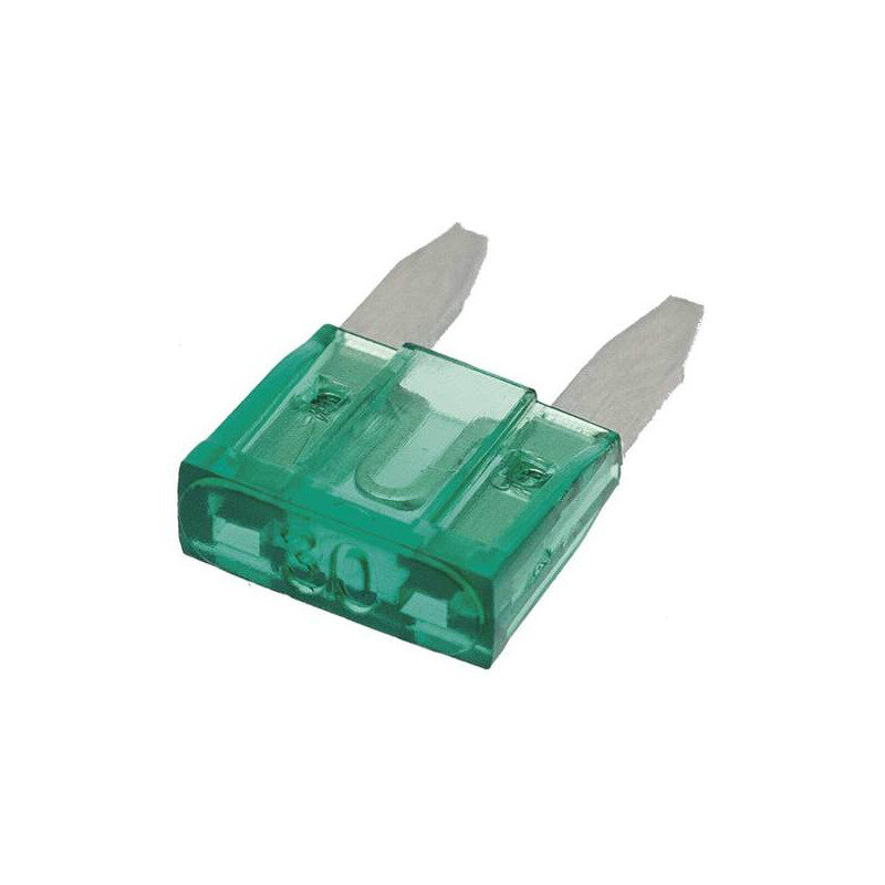 Blade Fuse 10mm 30A