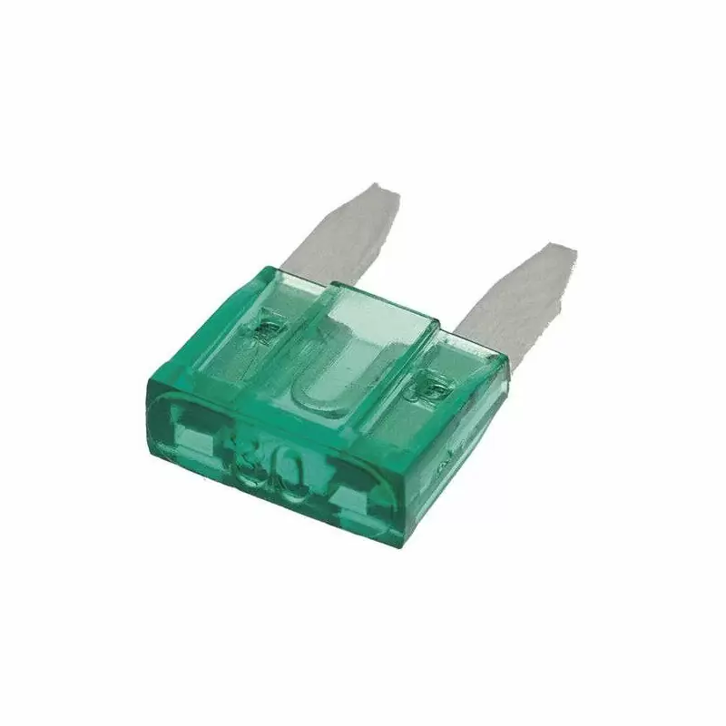Blade Fuse 10mm 30A - image