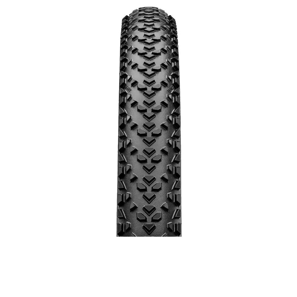 MTB Race King 2.0/2.2 26x2.20 TLR Protection Skin Black - image