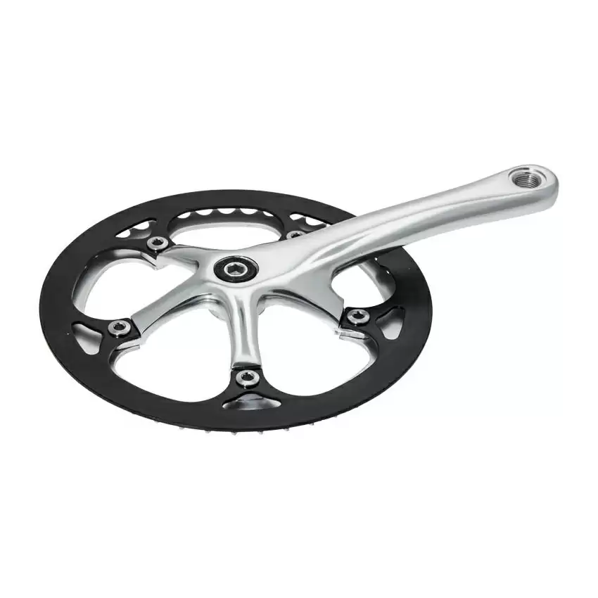 Crankset retrò Fixed 46T x 170mm silver with chainring protection - image