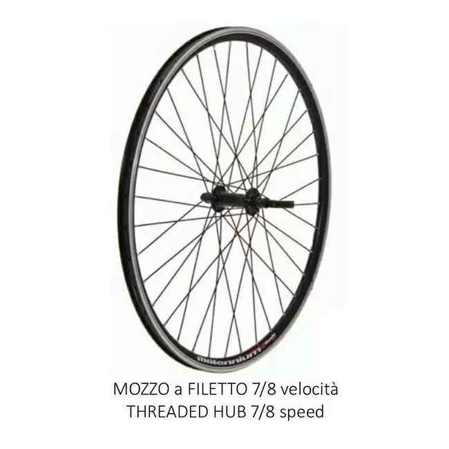 Rear wheel MTB Infinity 26'' Thread 7/8s V-Brake QR135mm - image