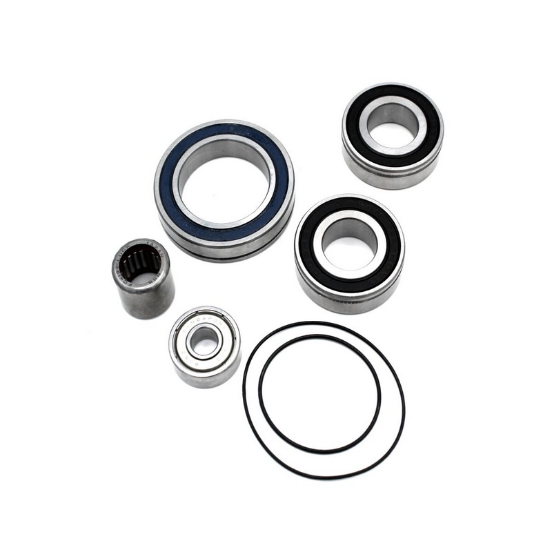 Kit revisione motore Ebike Panasonic 24-36v