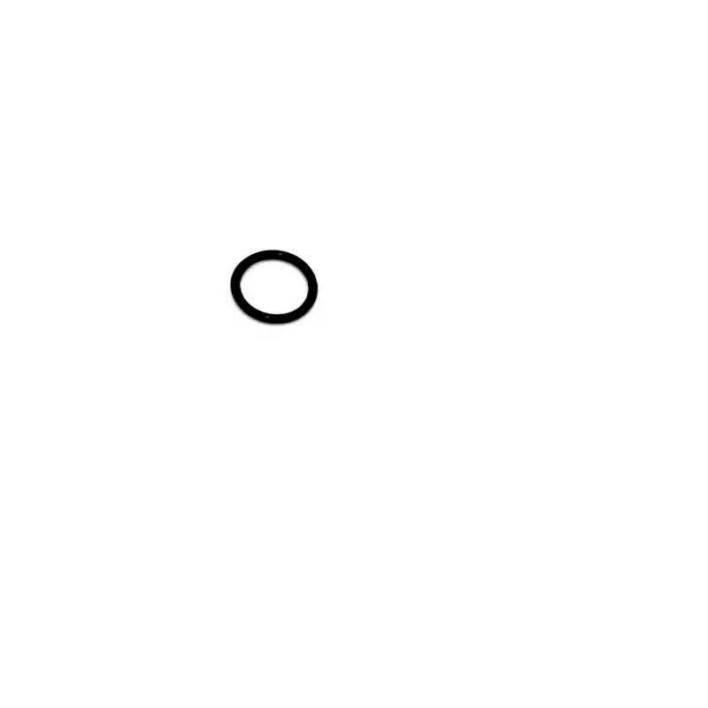 Guarnizione O-Ring per Bosch Gen 4 (Rif 9) - image