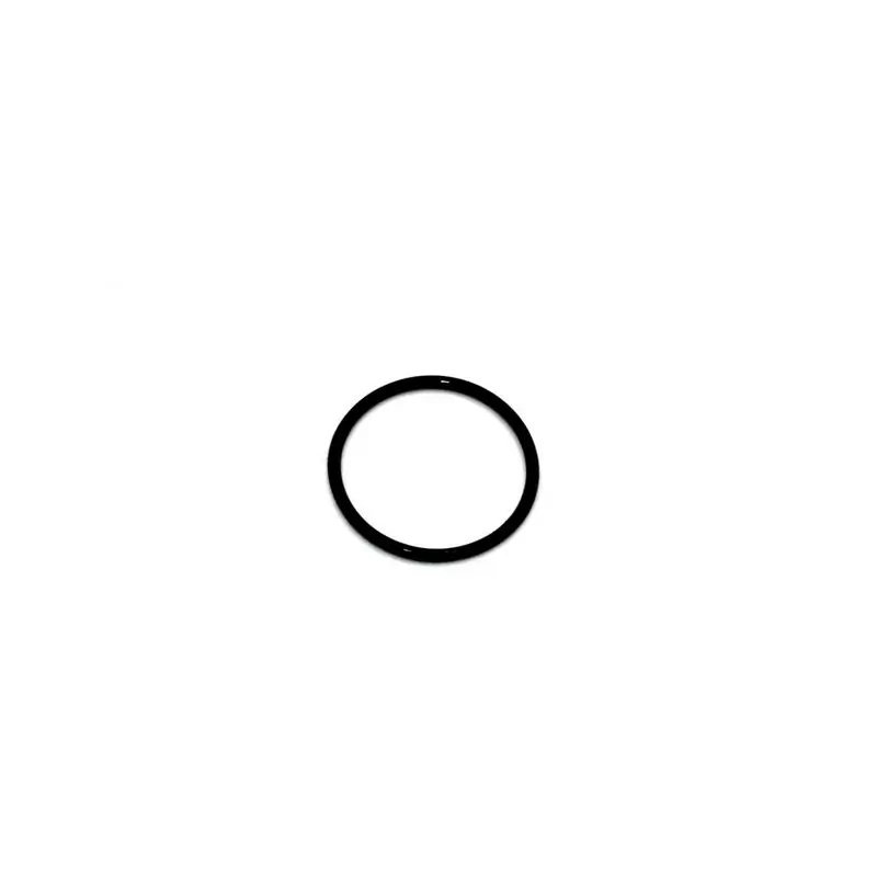 O-Ring Seal for Bosch Gen 4 (Ref 10) - image