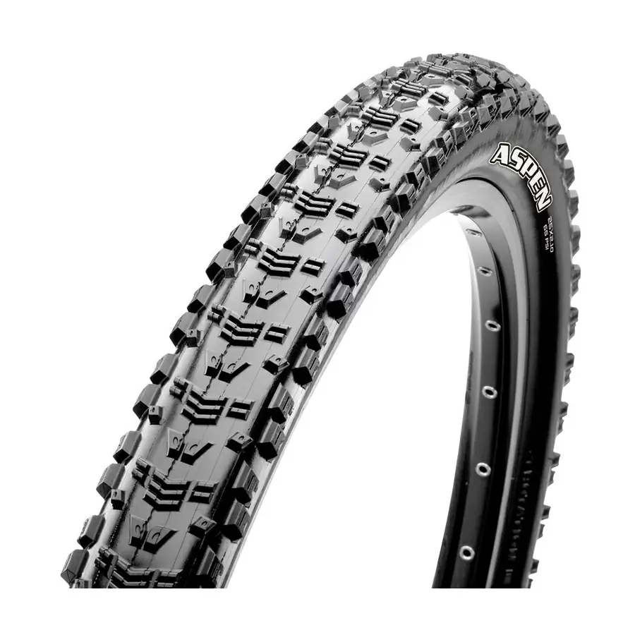 Tire Aspen Exo Tr 29x2.10'' Dual 120TPI Tubeless Ready Black - image