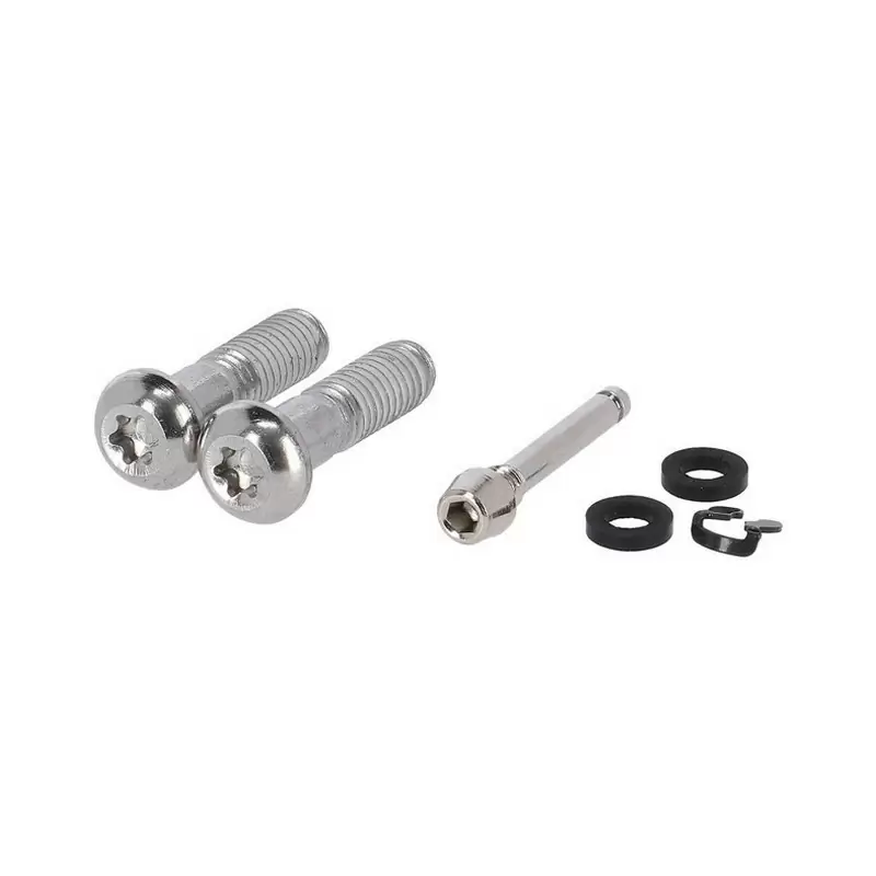 Titanium screws for 42mm Flatmount adapter - image