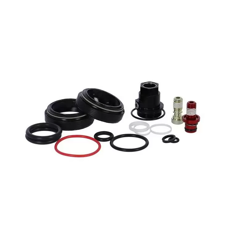 Kit Manutenzione Per Forcella Ammortizzata Totem RS-1 R1C R1 A1 (2018+) - image