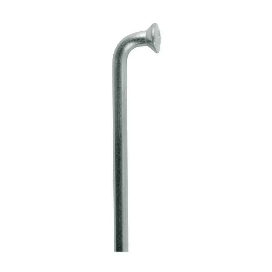 Spoke Champion 2 x 292mm silver - image