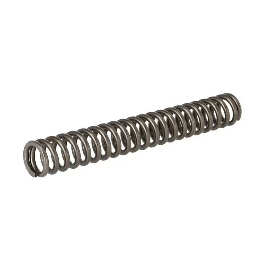 Fork discount coil spring