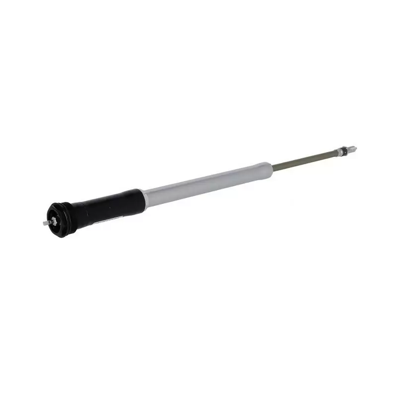 Cartuccia Rlrc-Pcs SF20 Axon34 Elite/Werx Boost - image