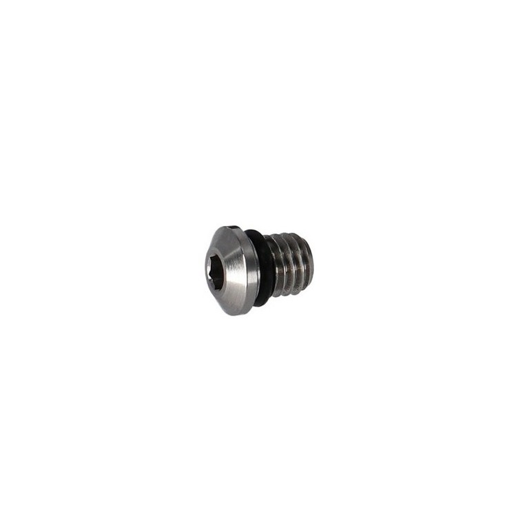 Sealing Screw and O-Ring