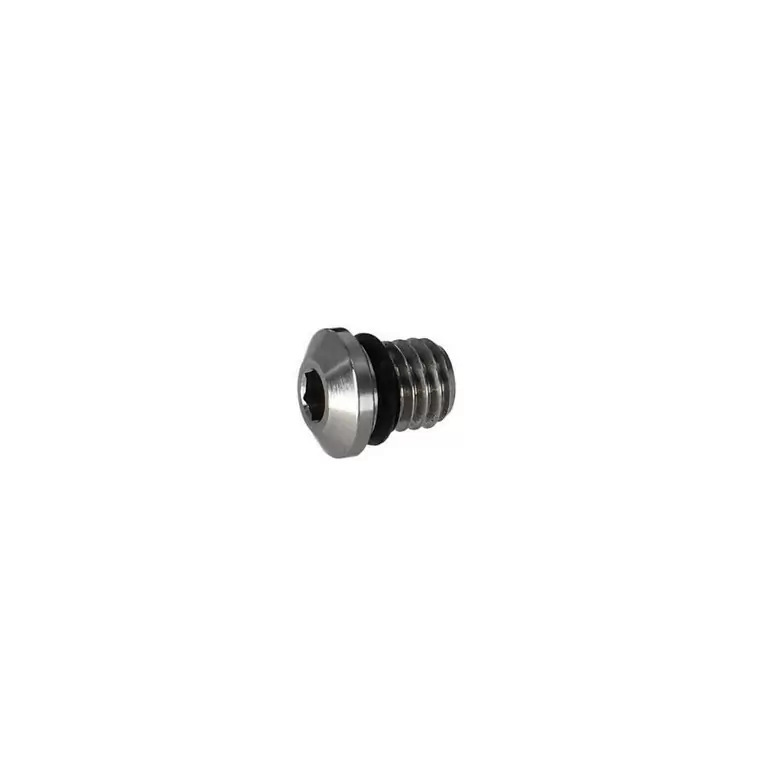Sealing Screw and O-Ring - image