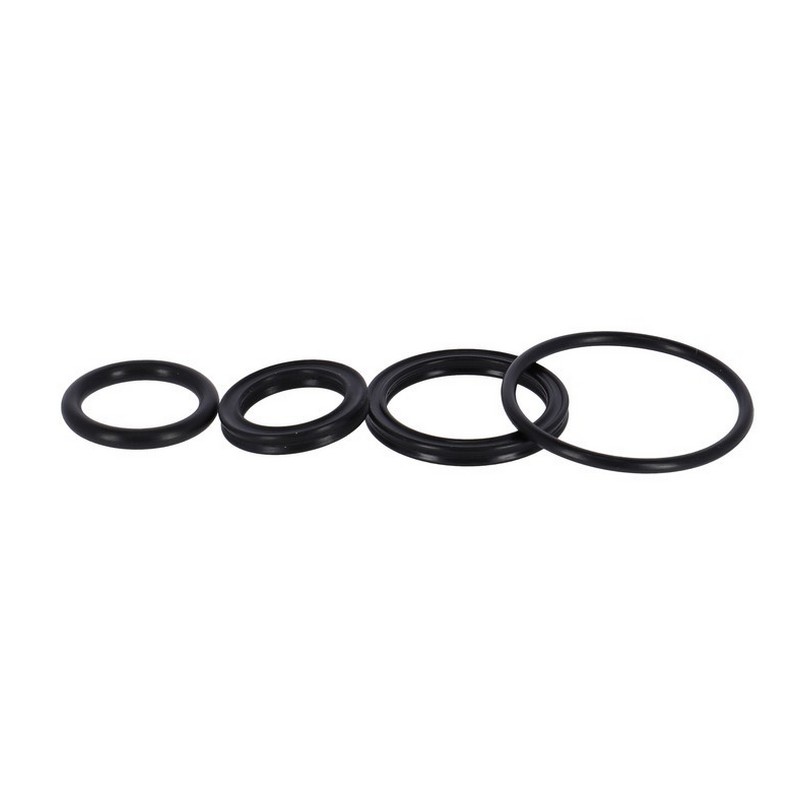 Kit de joint d'huile RS16 Raidon LO/R