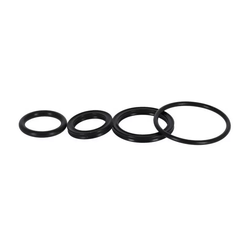 Kit de joint d'huile RS16 Raidon LO/R - image