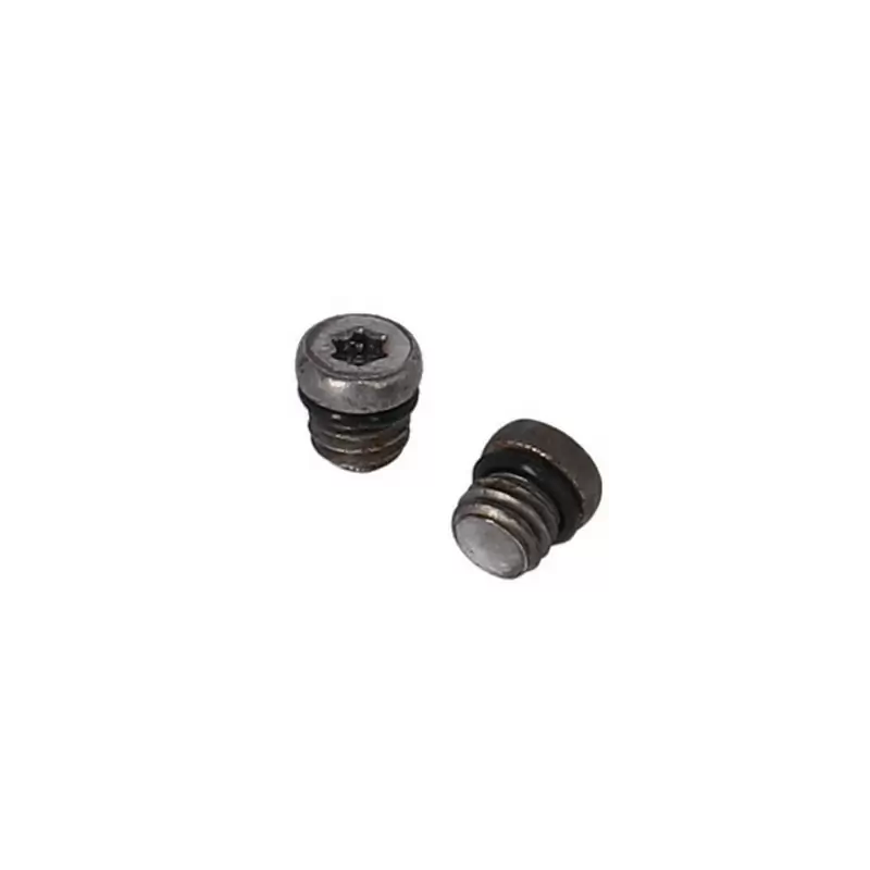 Entlüftungsschraube BR-X127 für SRAM/Avid, Durchmesser 6, M5x0,8mm - image